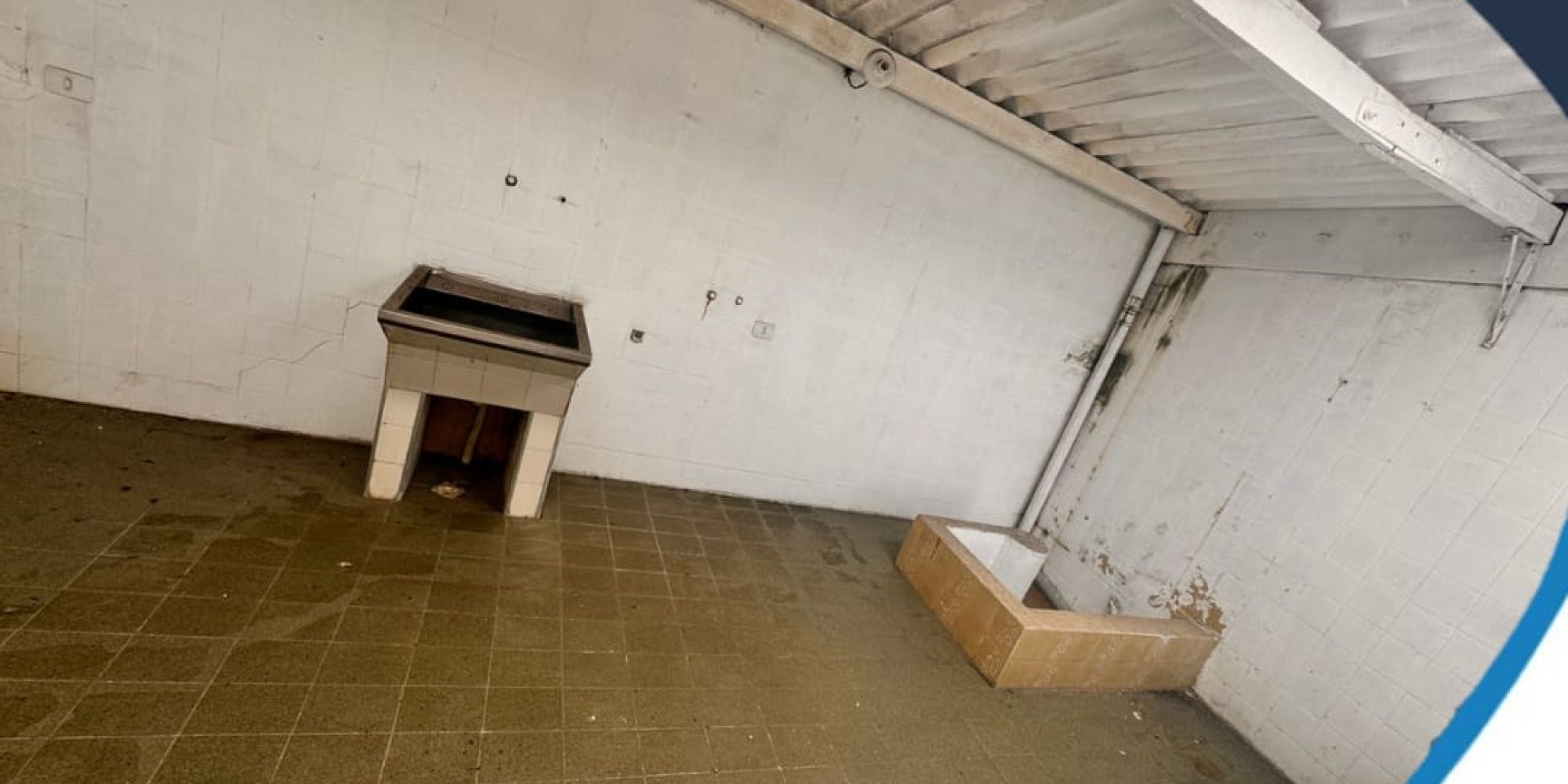 69496e52-1dca-44f3-8fcd-e35d0a74c01a